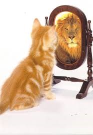 self image is important by Edwina Anne personal Stylist sydney